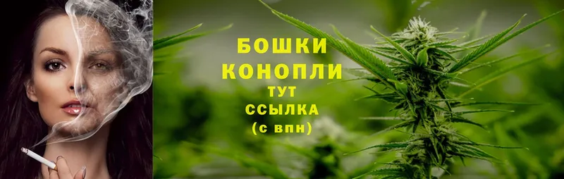 Конопля OG Kush  Клинцы 